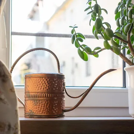 Kwatera Karkonoska Farm stay *